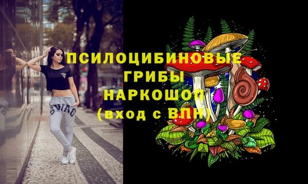 синтетический гашиш Богородицк